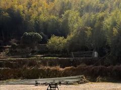-鹿亭中村