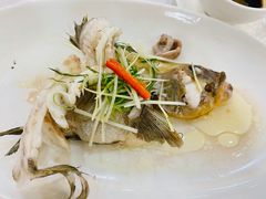-寻味顺德·南记酒家·传统顺德菜·鱼生(广源路店)
