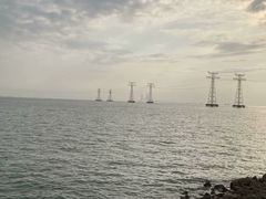 -宝安西湾红树林湿地公园