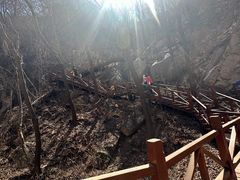 -大岭沟猕猴桃谷风景区
