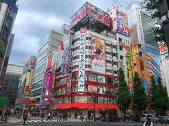 -秋叶原电器街