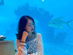 -海棠湾洲际-涛·海底餐厅·美人鱼·自助餐·海底隧道