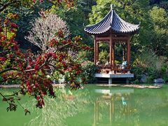-云溪植物园