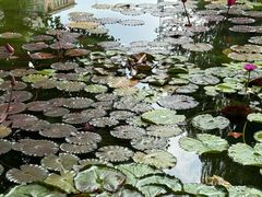 -静安公园(静安寺街道)