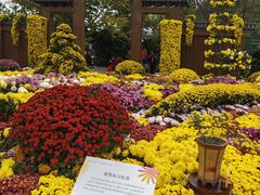 -南山植物园