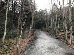 -富士山吉田線五合目