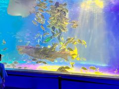 -常州海昌海洋探索馆