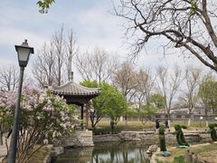 -三里河公园