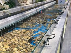 -川骄海鲜自助(河东店)