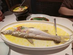 鸡汤清蒸白鱼-森隆饭庄(崇文门新世界百货店)
