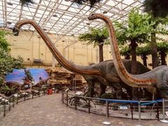 -国家自然博物馆