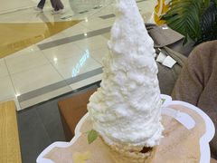 -野人先生Gelato(上海长宁龙之梦店)