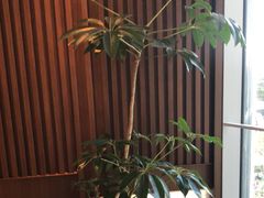 -淮香国色·淮扬菜(正大中心店)