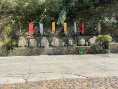 -将军关探险漂流