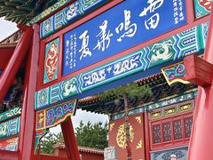 -芦芽山旅游度假区