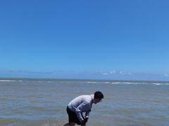 -启东黄金海滩景区