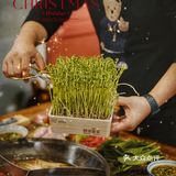 吃火锅🥘却点满了一整桌的甜品🎄🎅🏻