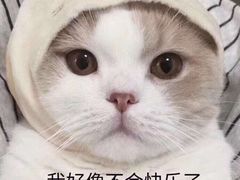 -一兰拉面(新宿中央东口店)