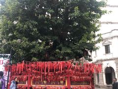 -两江国际影视城