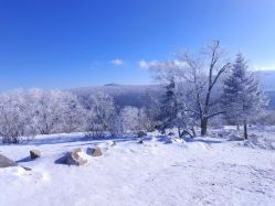 -大秃顶子山