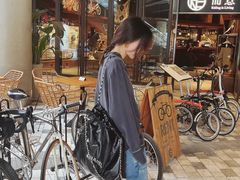 -岭南站NOVA