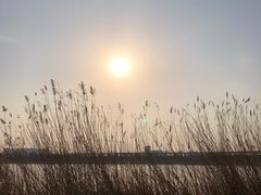 -绿堤公园