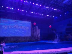 -华夏文旅海洋公园