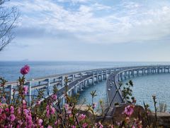 -星海湾跨海大桥