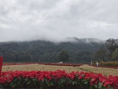 -广州市石门国家森林公园