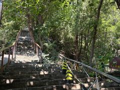 -北京上方山国家森林公园