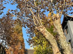 -四川大学(华西校区)