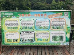 -天鹿湖森林公园