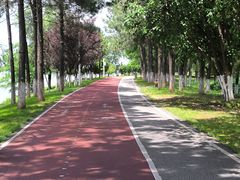-艾溪湖湿地公园
