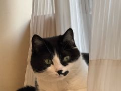 -路易时光(蕴川路店)