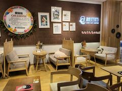 -藏猫猫咖啡主题馆(中央大道店)