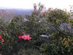 -天津盘山风景名胜区