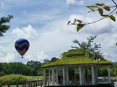 -中国科学院西双版纳热带植物园