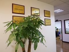 -满镒财税·注册公司·代理记账(徐汇店)