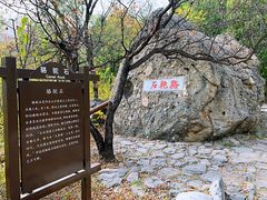 -阳台山自然风景区