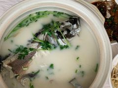 -天乐农家鱼头王(天目湖店)