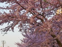 -永乐路-路侧停车场