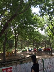 -大望京儿童游乐场