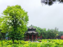 -洛阳白马寺