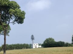 -漕湖湿地公园