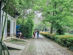 -西溪国家湿地公园