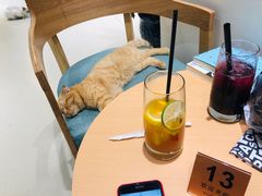 -藏猫猫咖啡主题馆(中央大道店)