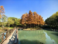 -尚贤河湿地