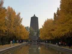-玲珑塔公园