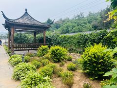 -荷塘味道(水长城店)