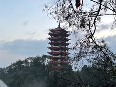 -缙云山景区